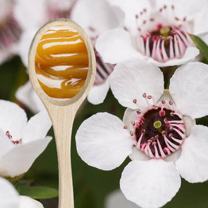 Down Under Manuka UMF™ 5+MGO 83+ Honey of New Zealand