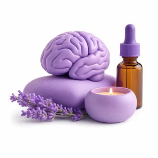 Stress & Nervous System