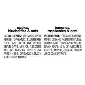 HappyBABY Organics Clearly Crafted Fruit & Oat Pouches Variety Pack, 113g (12pc)