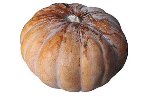 Red Pumpkin Local 1.5 kg Approx.