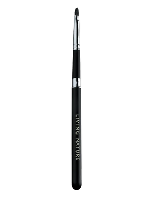 Lip Brush