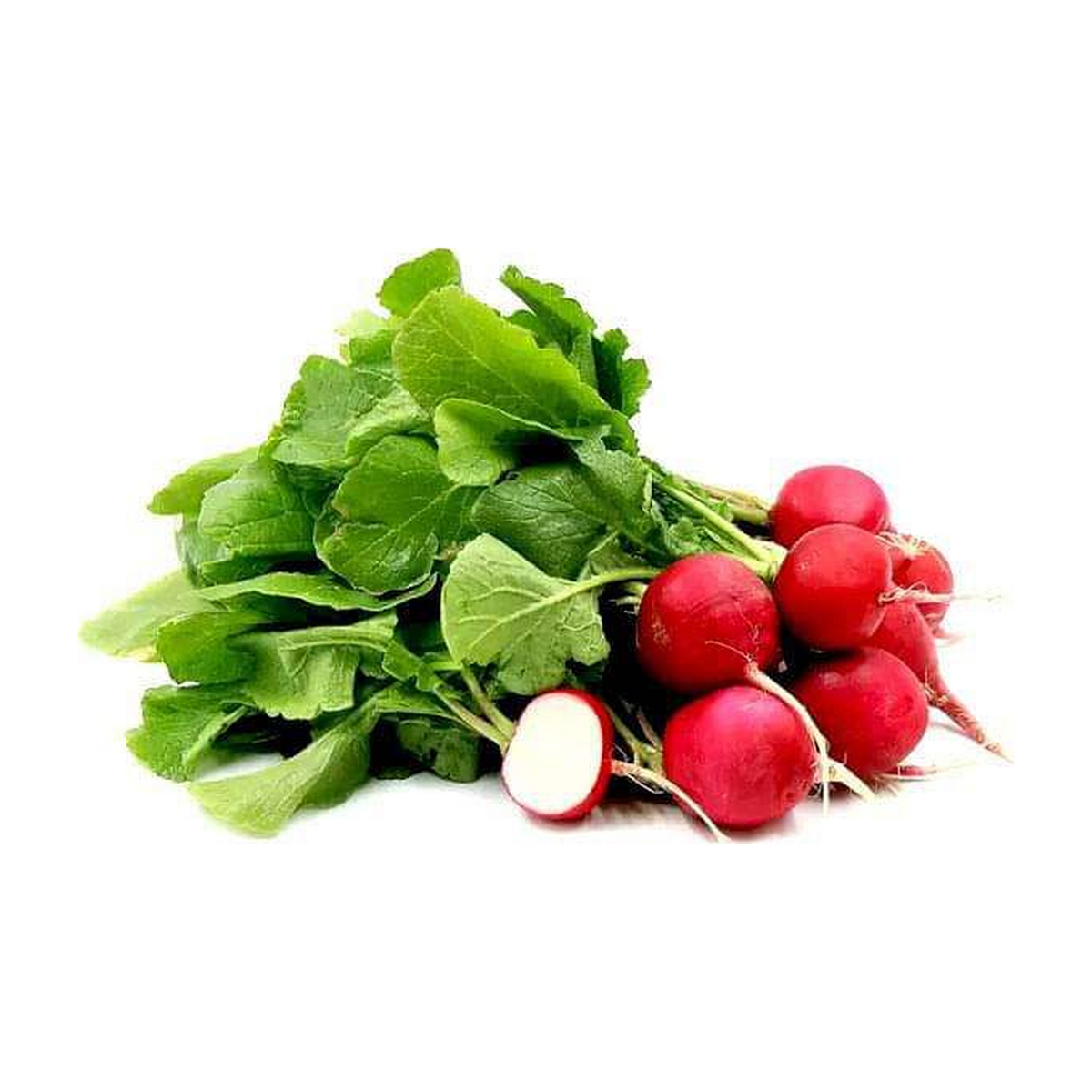 Lebanese Red Radish 500 g