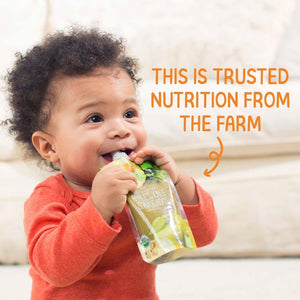 HappyBABY Organics Clearly Crafted Fruit & Oat Pouches Variety Pack, 113g (12pc)