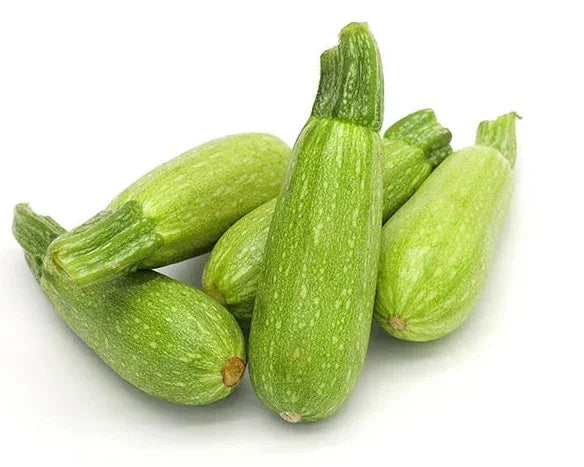Lebanese Carved Marrow 500g — كوسا للحشي | Air-Flown