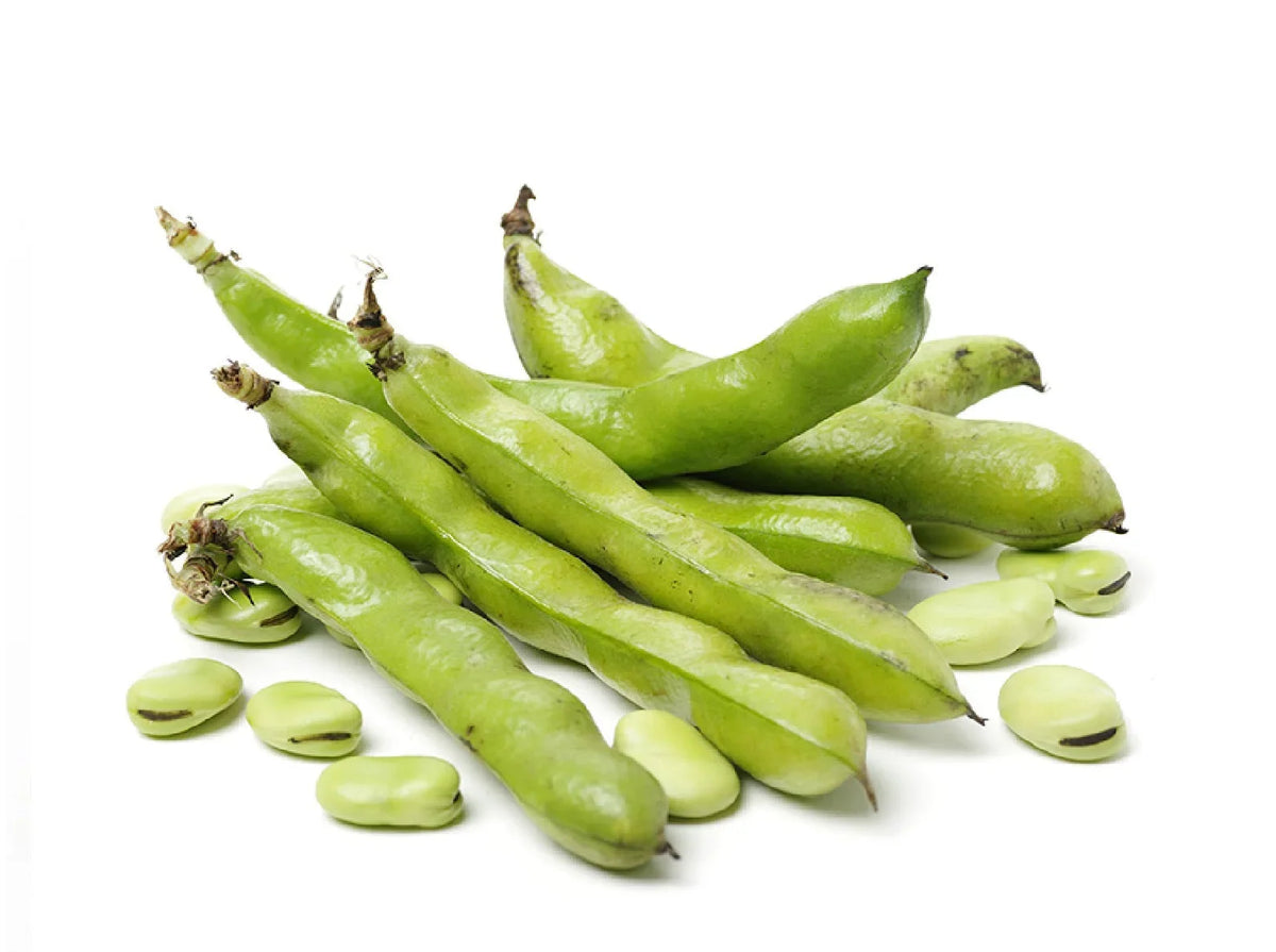 Lebanese Broad Beans (Foul) 450g — فول أخضر | Air-Flown