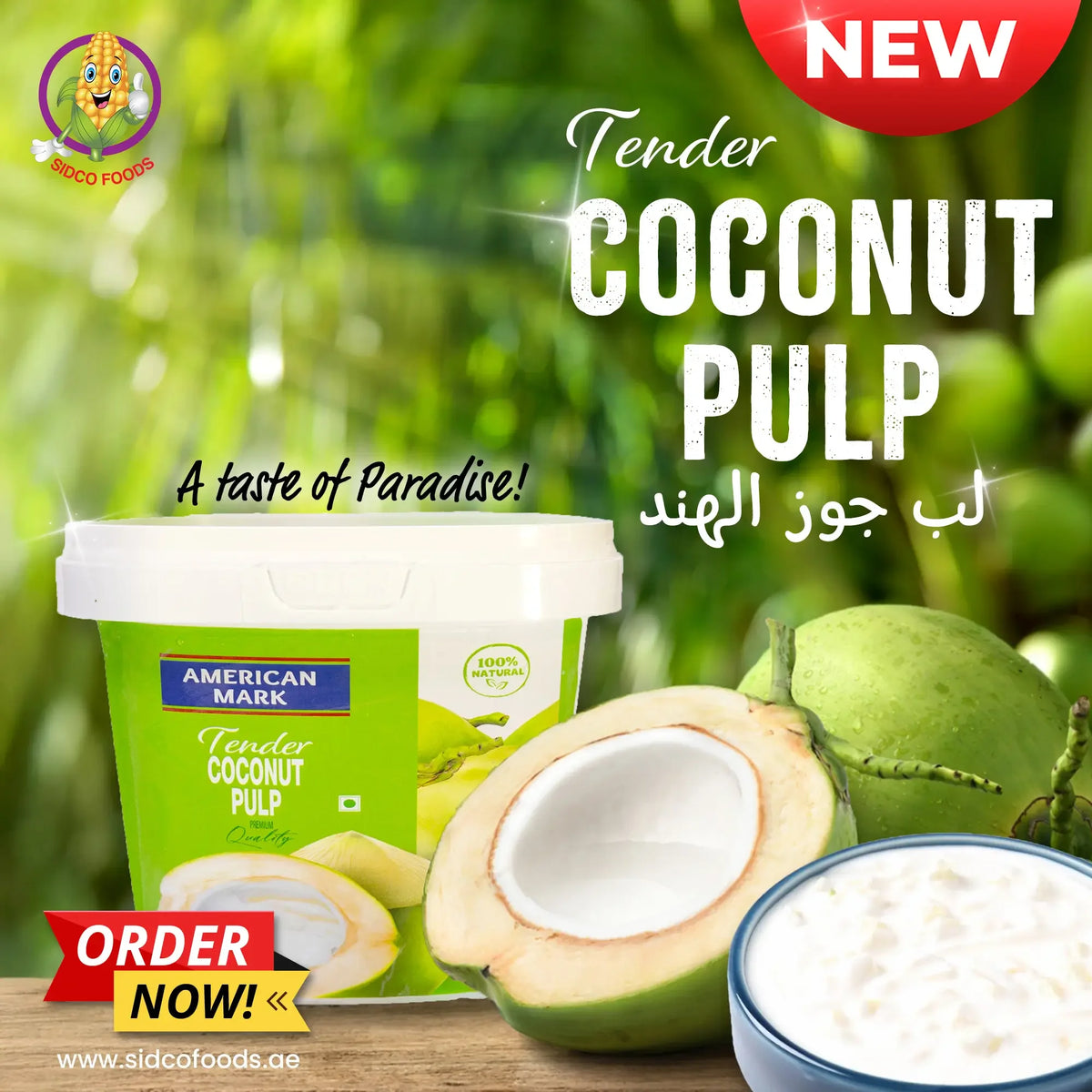 Tender coconut pulp - View 4 | Welaza