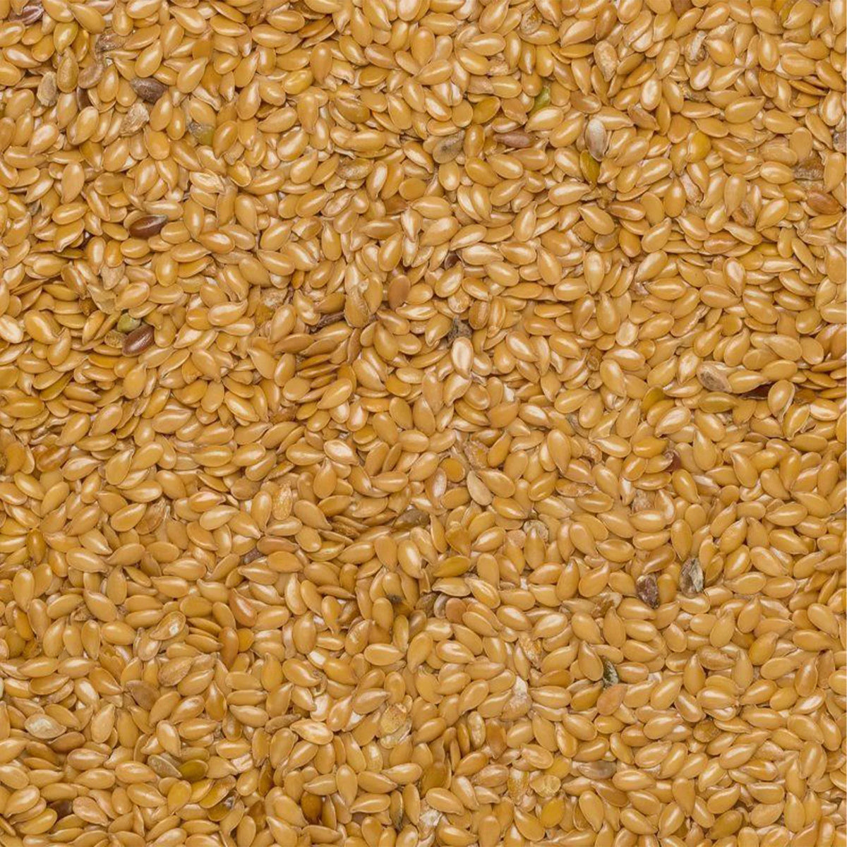 Meadows Organic Blond Flax Seeds 340g