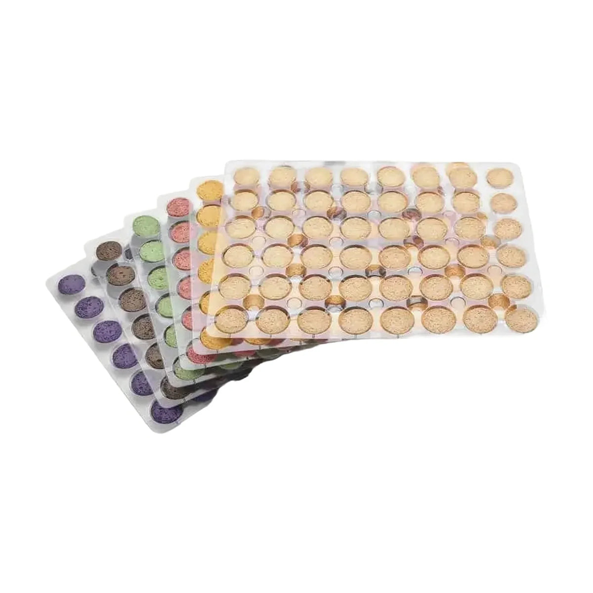 Masdeu Six-Colour Macaron Shells, 576 Pieces
