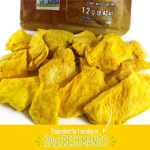 Etnico Mango Freeze Dried Fruits 12g