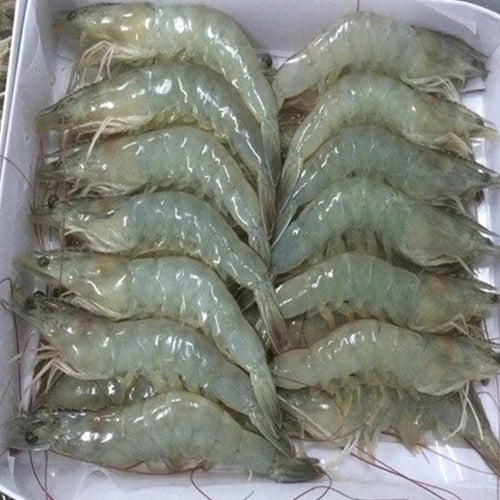 Head-on Shrimps 2 kg (30/40)