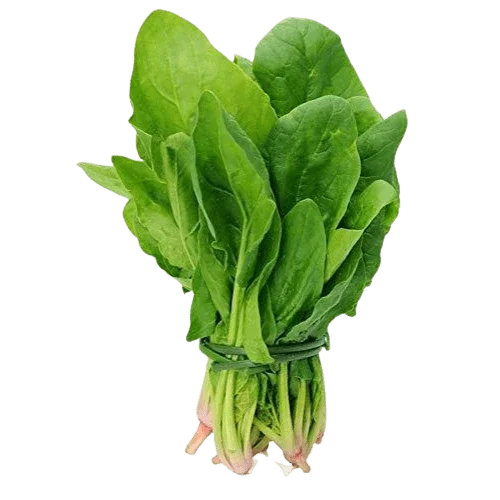 Lebanese Spinach 500g — سبانخ | Air-Flown | Welaza