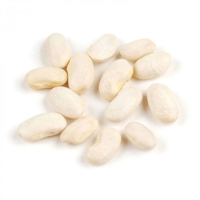Lebanese Fresh Shelled White Beans 500g — فاصوليا بيضاء | Air-Flown | Welaza