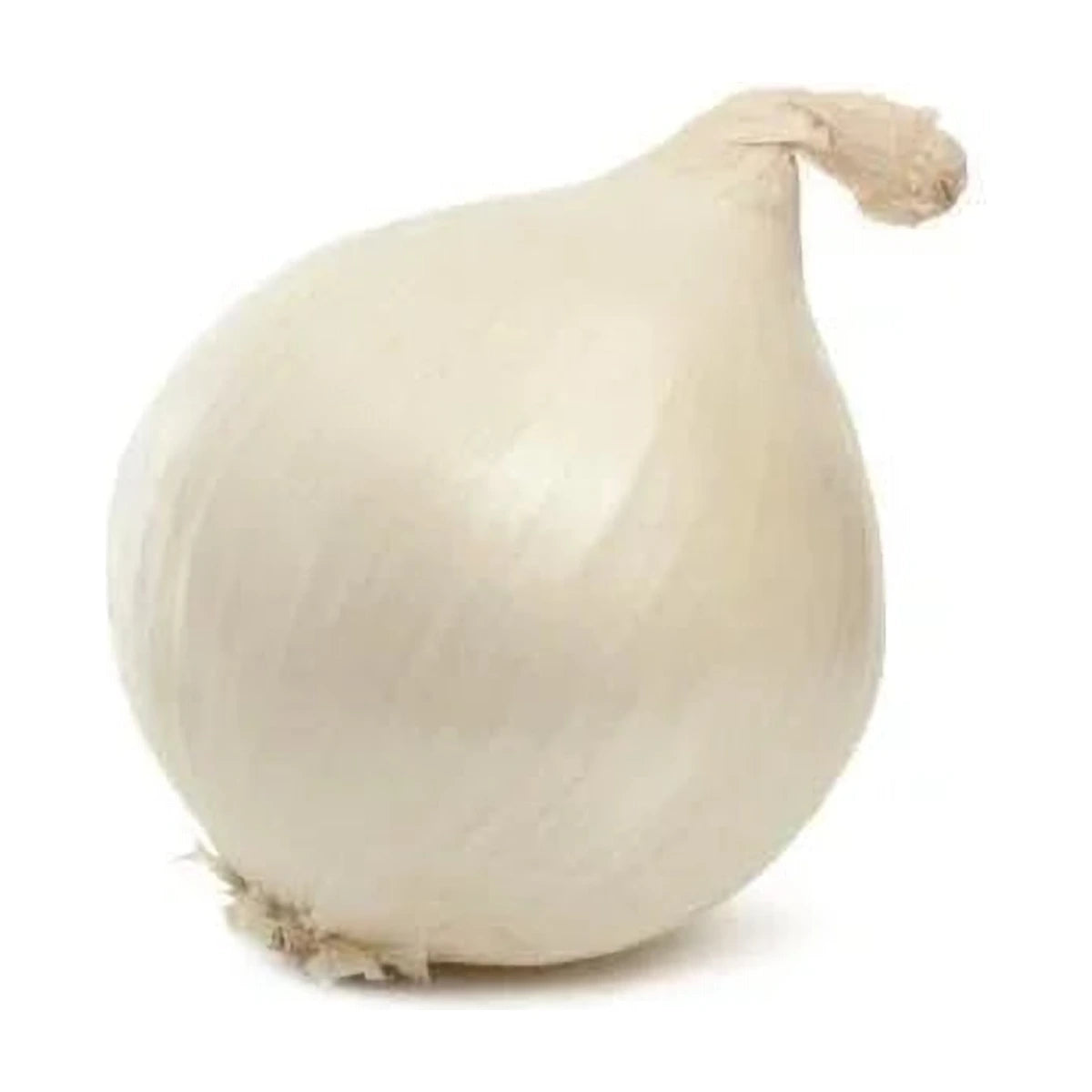 सफेद प्याज 500 ग्राम