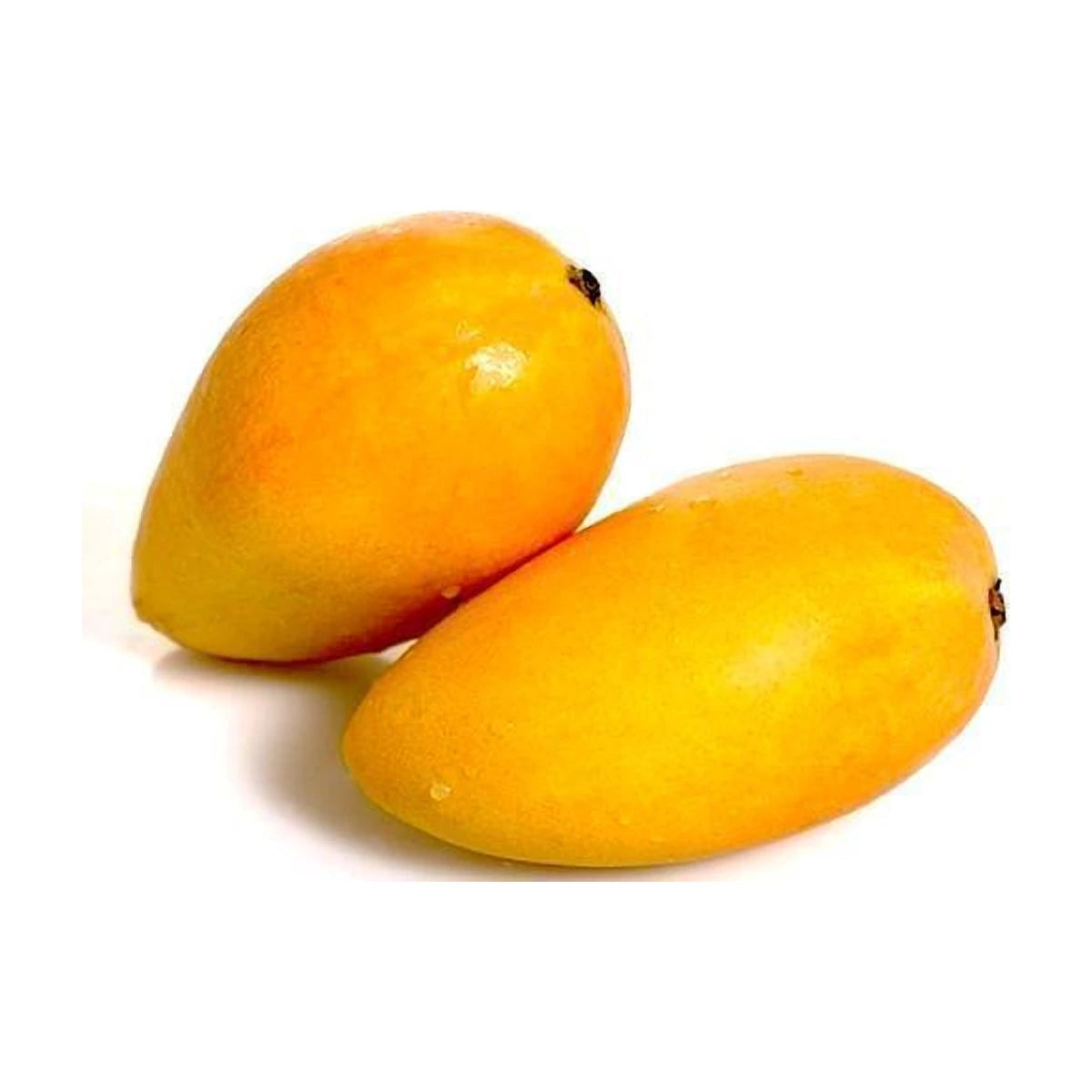 Mango Pakistan (Chaunsa 2pc) - 800g to 900g | Welaza