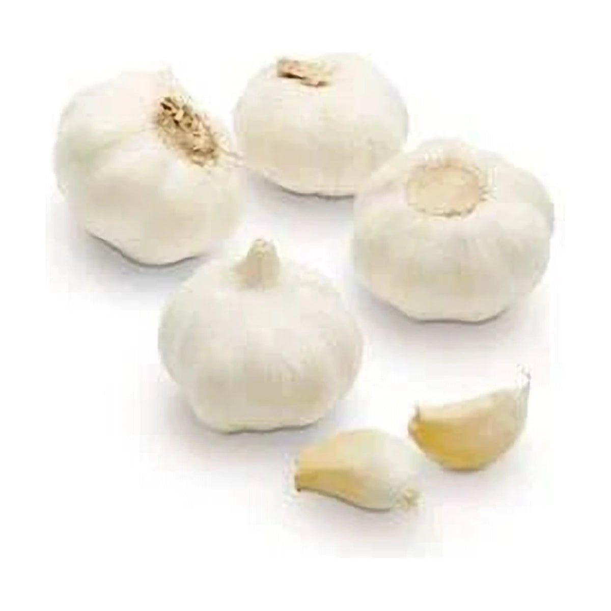 Garlic 250gm | Welaza