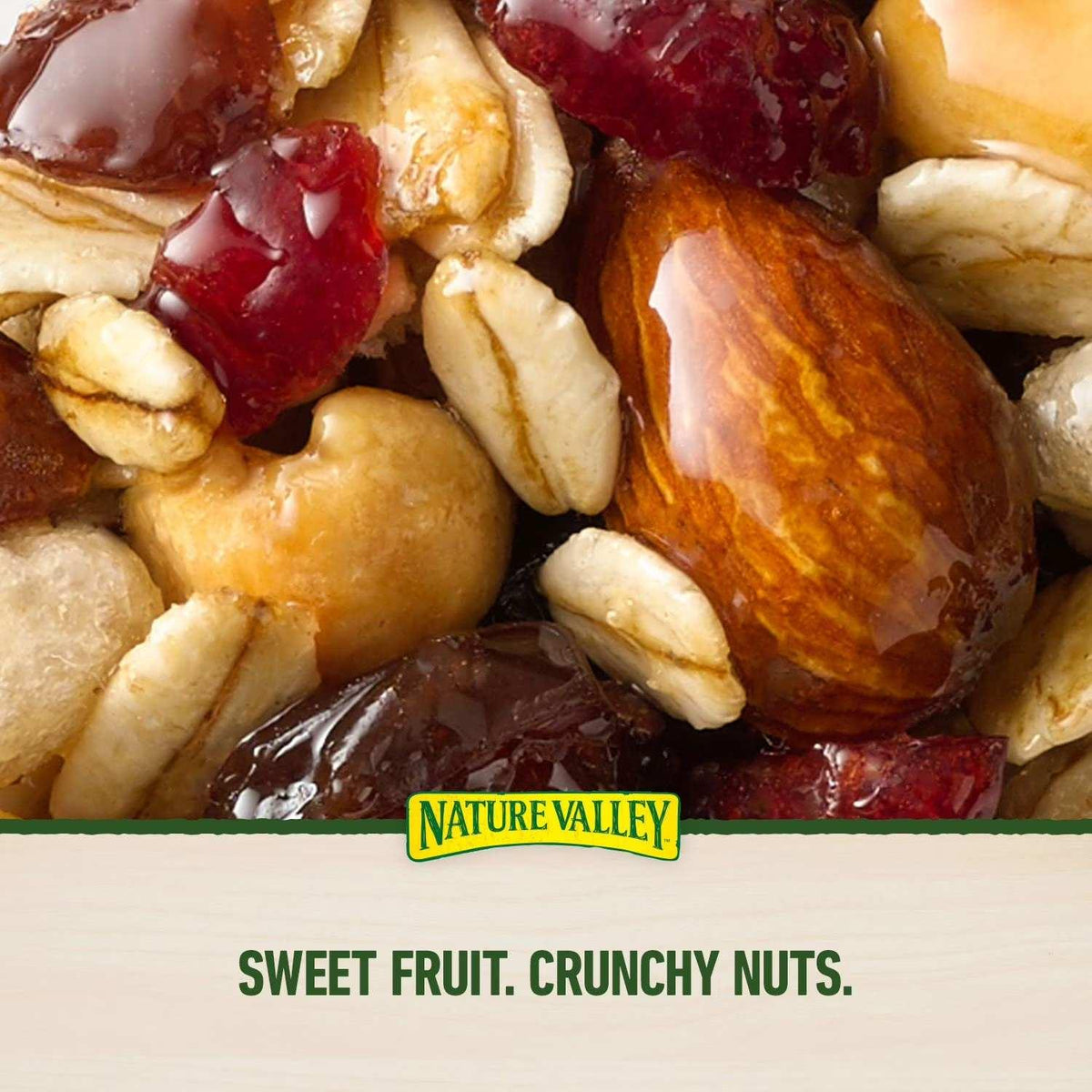 Nature Valley Chewy Trail Mix Fruit & Nut Granola Bars - 35g(48 pc)