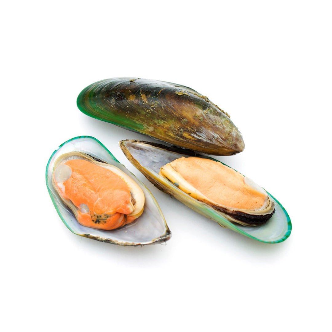 Green Clams (Seafish shell) 500g