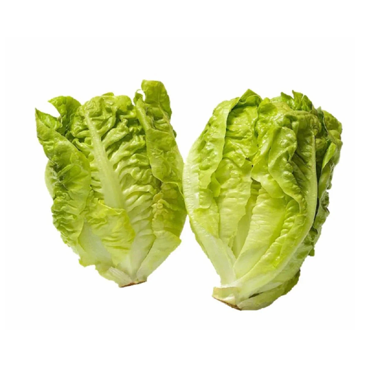Lettuce Little Gem Green 450 grams
