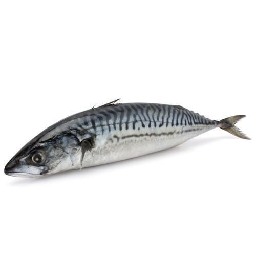 Mackerel / Ayala / Bangda / Garfa Whole Cleaned 500g