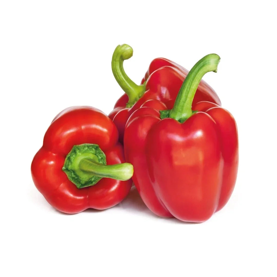 Organic Red Capsicum 450g