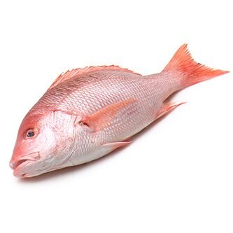 Red Snapper / Hamra / Chempalli whole cleaned 1kg