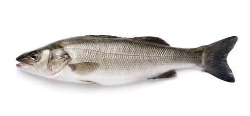Sea Bass "Loup De Mer" Whole Cleaned 500g