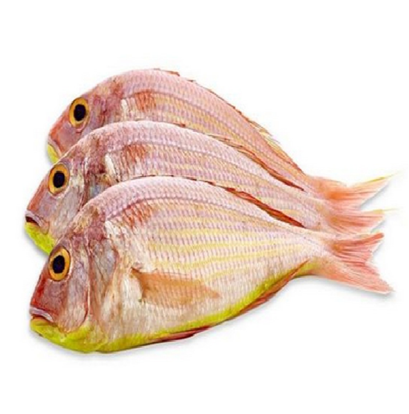 Pink Perch / Kilimeen / Thread Finned Bream / Sultan Ibrahim Round Whole Cleaned