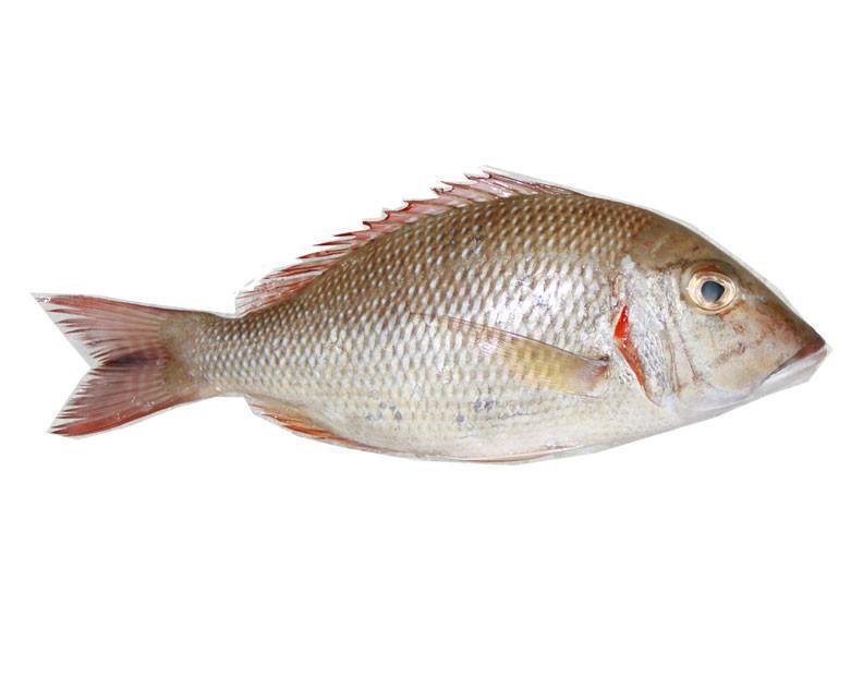 Sheri /Emperor / Eari Whole Cleaned 1 Kg