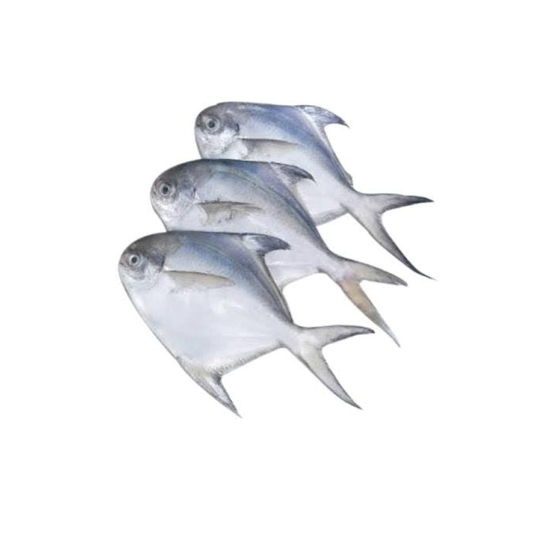 Silver Pomfret / Avoli / Zubaidi (MEDIUM) Whole Cleaned 1Kg