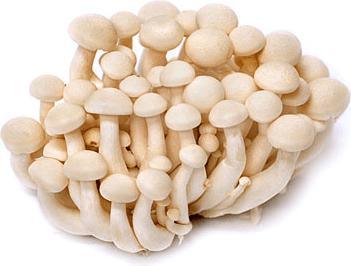 White Shimeji Mushroom 150g