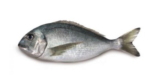 Wild Sea Bream Whole cleaned